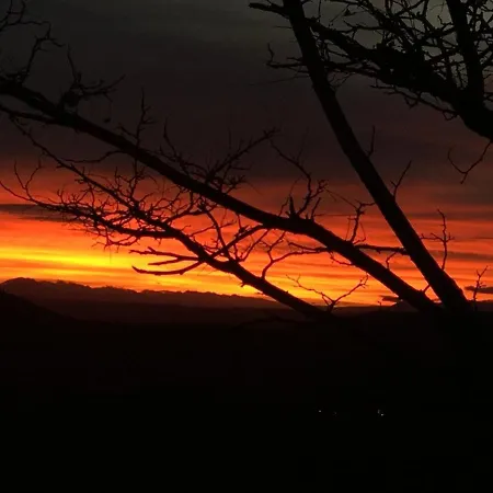 El Chiscon De La Hoya *