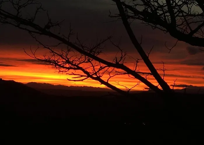 El Chiscon De La Hoya *